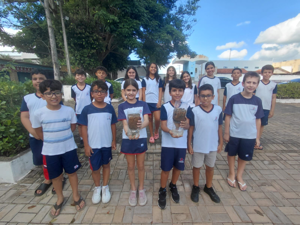 Constru&ccedil;&atilde;o de Filtro Caseiro✨