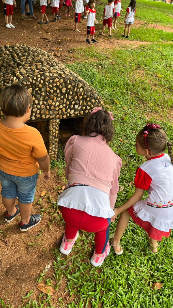 Projeto do PUFV : Como &eacute; um pato de verdade?