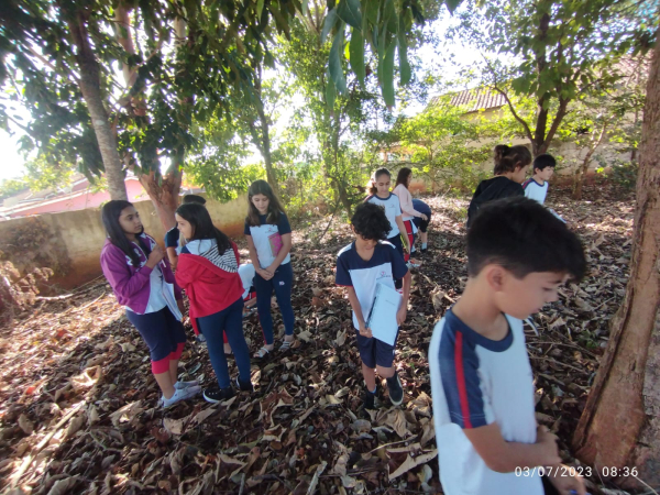 An&aacute;lise de Impermeabilidade do Solo