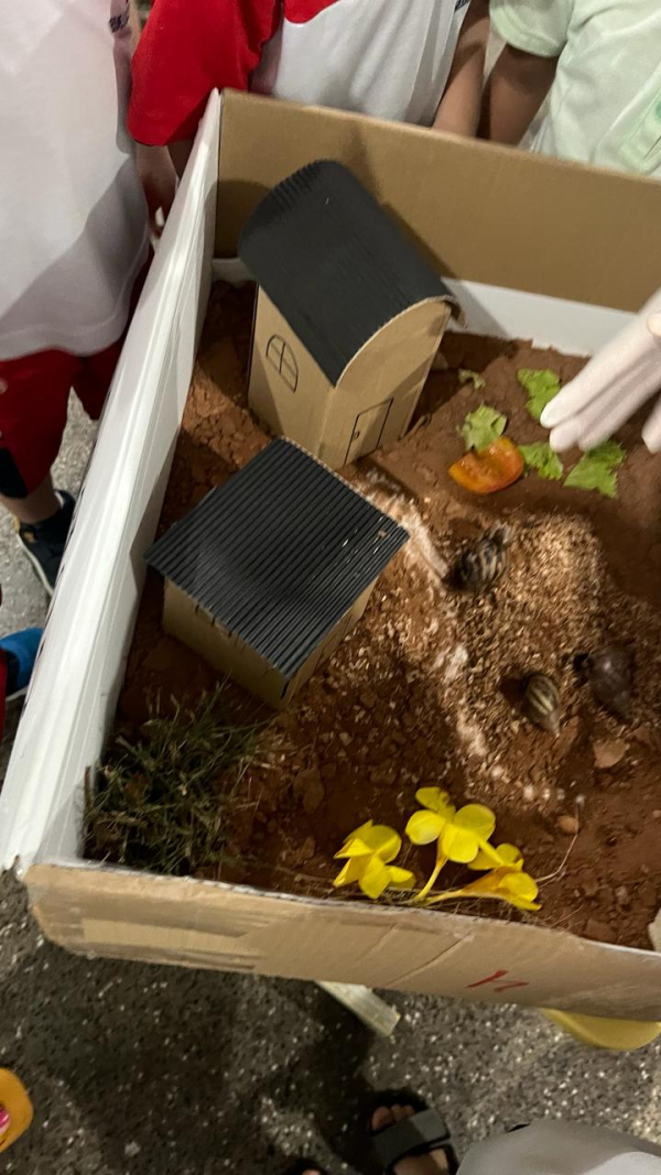 ﻿Projeto do PUFV: O caramujo é o caracol?