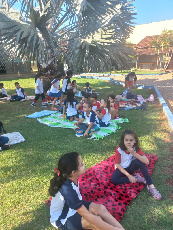 Piquenique do 1° ano.